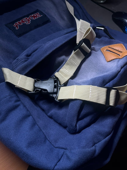 The Amazing Spiderman BackPack