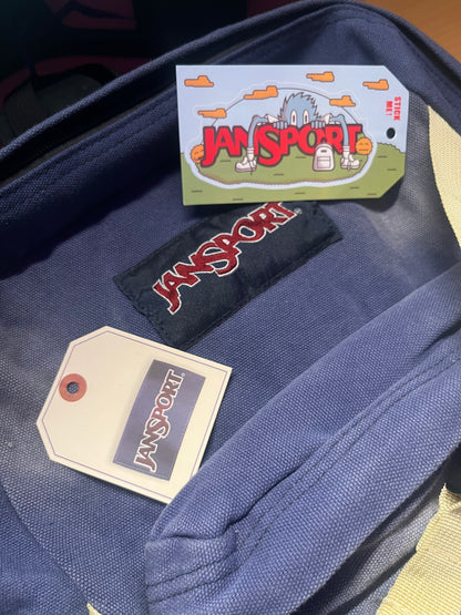 The Amazing Spiderman BackPack